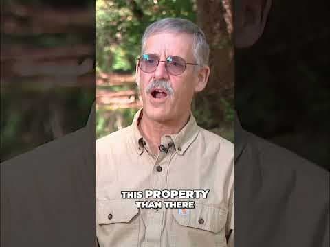 A new Ohio landmark protects ancient forests and rare biodiversity #shorts