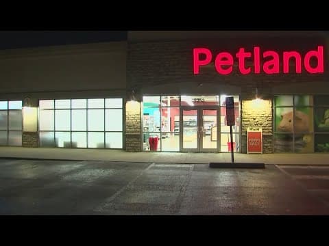Several animals set loose after suspect allegedly breaks into west Columbus pet store