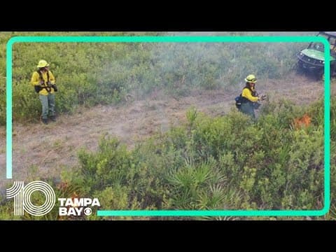 Prescribed burns in Hillsborough County aim to prevent wildfires