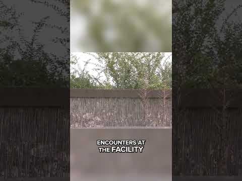 Caretaker killed by tiger at wildlife preserve in southeastern Oklahoma