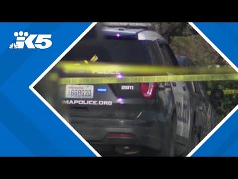 Suspect killed after 2 carjackings, police shooting
