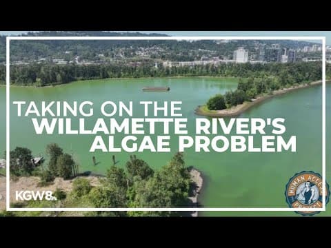 Project at Ross Island could help stop the Willamette River from turning green with algae