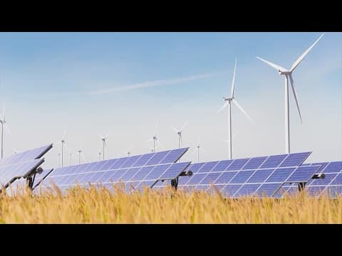 Top tips to save you cash on your energy bill