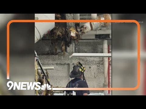 Fire at the Gaylord Rockies Resort is out