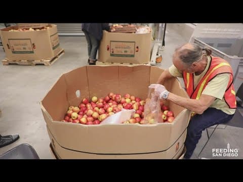 Feeding San Diego issues fundraising challenge to Philadelphia during NLCS