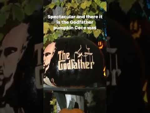 Is that Alicia? Is that the Godfather? We don’t know.. #kare11 #kare11sunrise #minnesotazoo