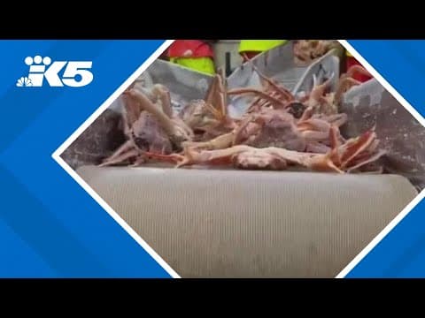 Limited Bering Sea snow crabbing season allowed after back-to-back closures