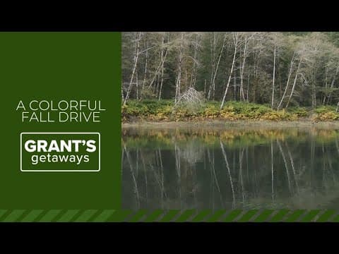 Watch the seasons change along the Nehalem River