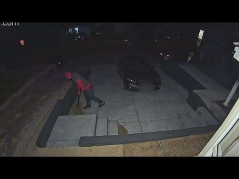 Man with machete caught on camera in Rolando Park