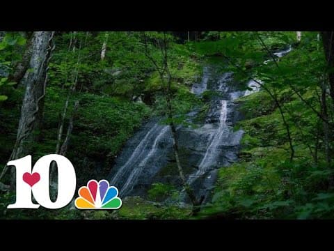 Nature Sounds: Porters Creek Trail