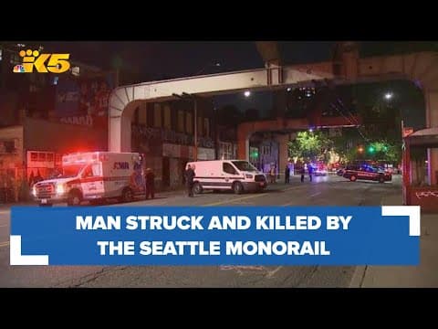 Man struck and killed by monorail