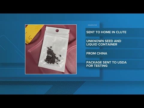 Mystery seeds from China are back, Texas Agriculture Commissioner warns