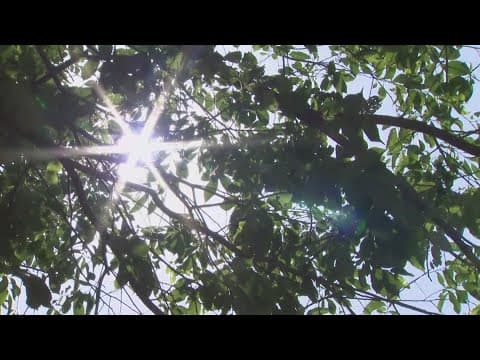 Montgomery County works to protect those experiencing homelessness during heat wave