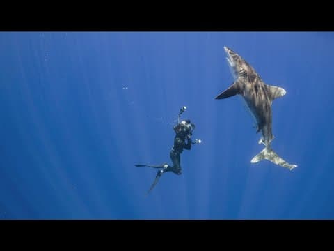 Making Waves: Summit to Sea | Event preview