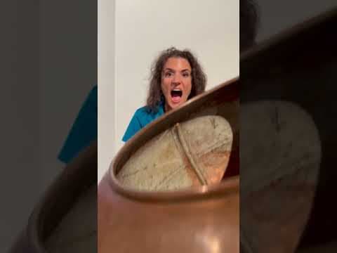 Did you visit the Minnesota State Fair's Sweet & Selfie Experience? Eva Andersen shows us around.