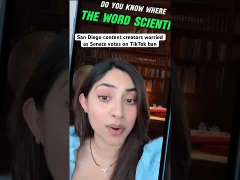 The Senate is expected to vote on a bill that could ban TikTok in US. Local creators are worried.