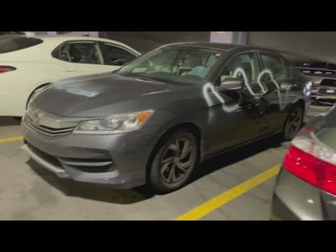 Woman who spray painted over 50 cars arrested for battery