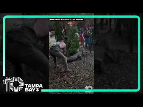 Florida man wrangles gator outside of Jacksonville elementary school