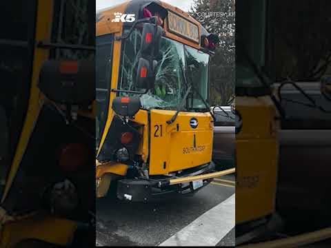 Driver runs red light, crashes into school bus