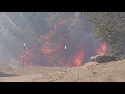 'Coyote Fire' in Potrero prompts evacuations; road closures