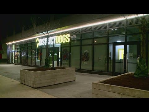 District Dogs employee fired after allegedly striking and killing dog