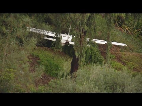 Pilot killed after small plane crashes into La Jolla hillside