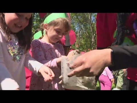 Ladybugs at Chesterbrook Academy Preschool | Nightcap