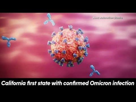 US identifies first omicron variant case
