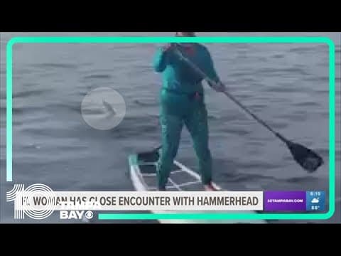 Florida woman has close encounter with hammerhead shark