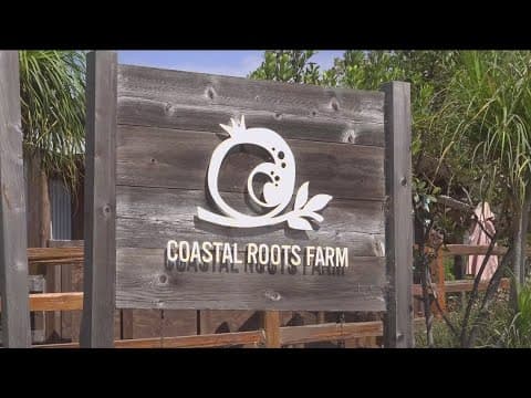 Jewish agricultural traditions inspire Coastal Roots Farm's mission
