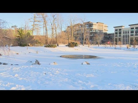 Staying safe around frozen ponds