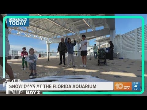 Happening Today: things to do in Tampa Bay on Christmas Eve, what stores will be open on Christmas D