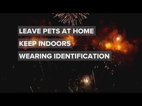 Fireworks can be scary for your pets