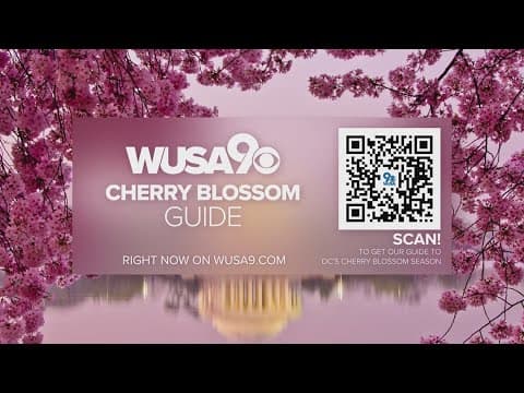 Vice President Kamala Harris visits women's clinic in Minnesota