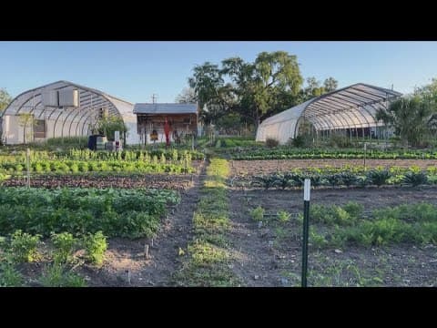 Food Waste Prevention Week: Small changes make big difference