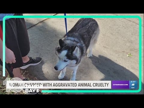 Florida woman accused of beating dog with mallet