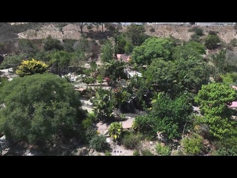 San Diego Botanic Garden offers natural oasis and educational experience in Encinitas