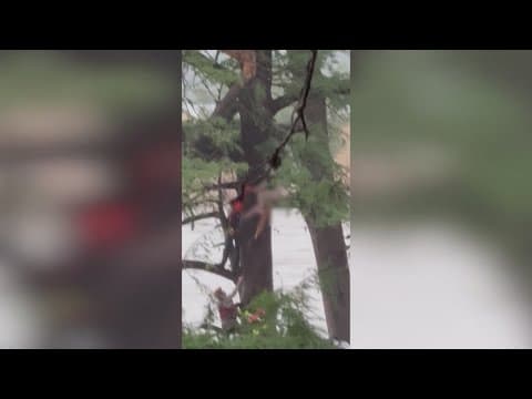 Video shows woman stuck in tree after treading floodwaters for 20 miles across Texas