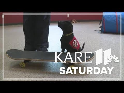 Can Do Canines hosts weekend open house