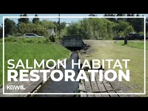 Portland working to restore section of creek for salmon