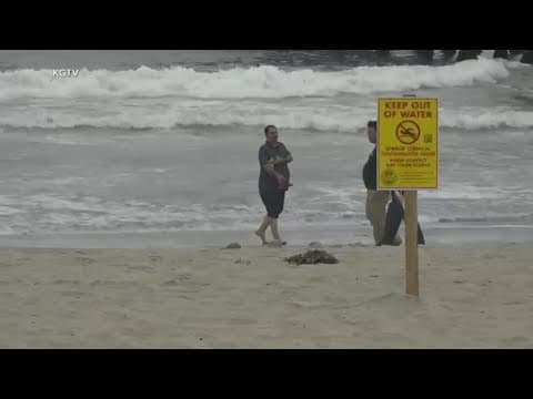 Why some U.S. beaches are closed for contaminated water