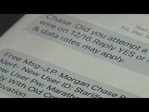 Where do spam texts go when reported?