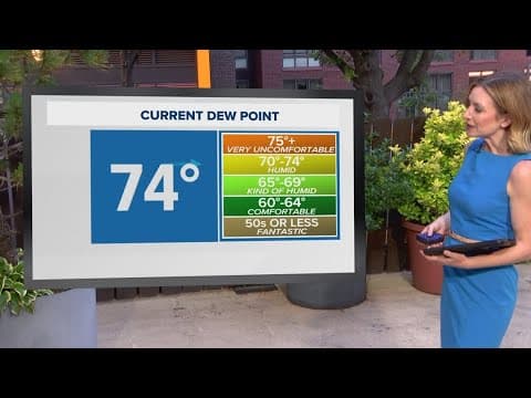 High humidity leads to high 'feels-like' temperatures in DMV area