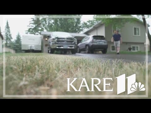 How to keep your lawn healthy in the heat