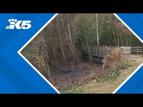 Reward offered in string of 12 suspicious fires in Kitsap County