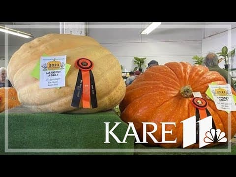 800-pound pumpkin takes top prize at Minnesota State Fair
