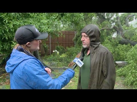 Large trees come down on Kenner home