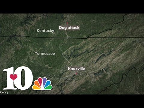 2-year-old attacked by dogs in Whitley County, KY; Animal Control captures five dogs