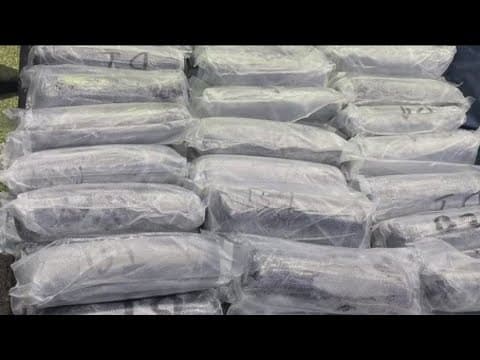 Man caught with 720k fentanyl pills has sentencing delayed