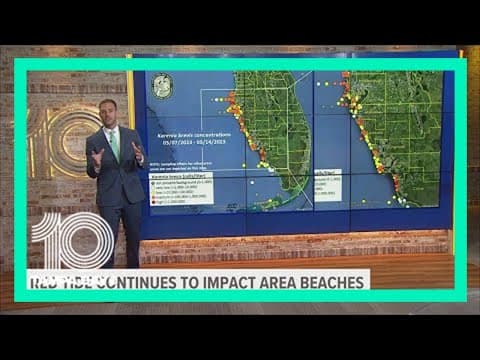 Red tide shows improvement, but still present at Tampa Bay area beaches
